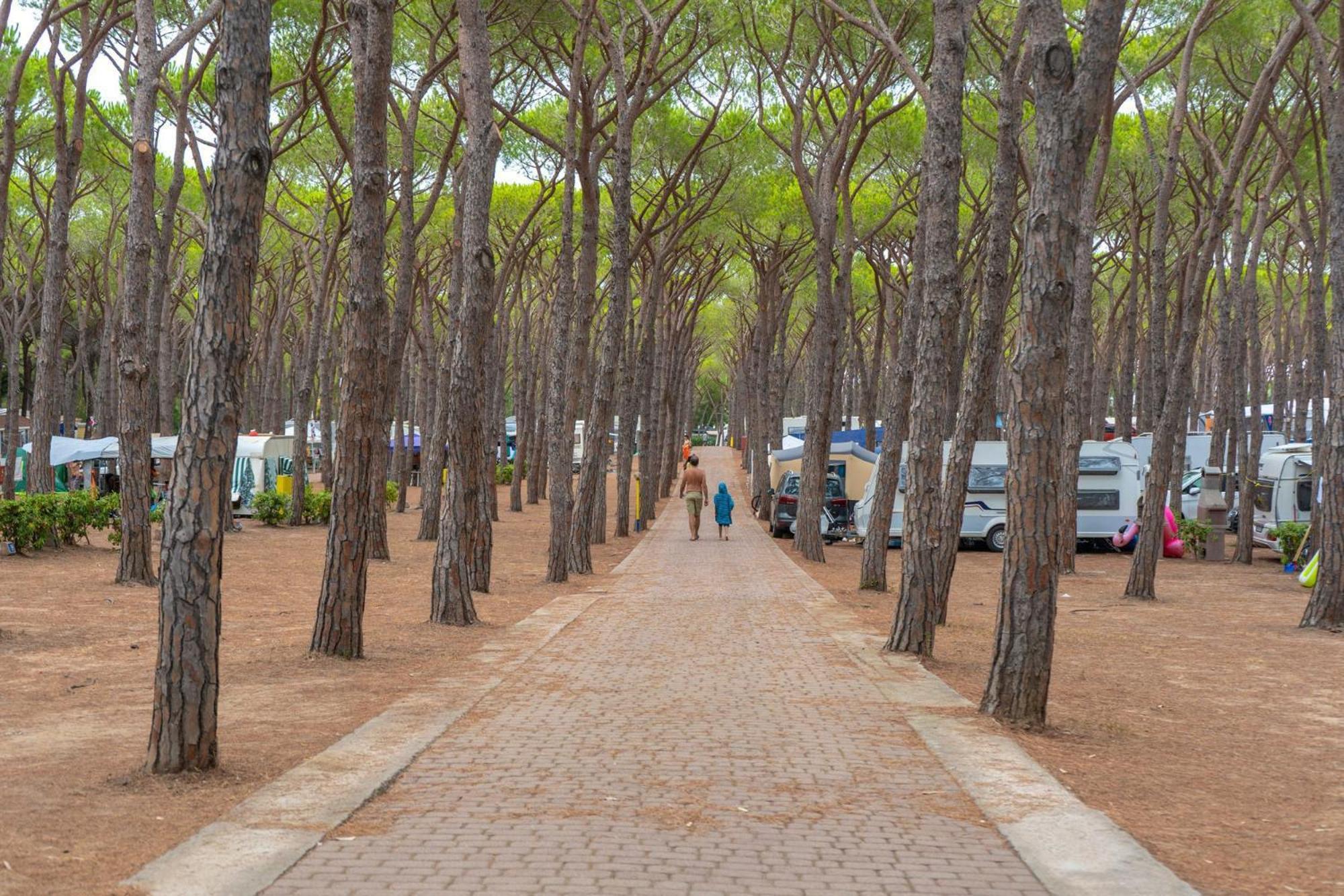 Camping Village Baia Blu La Tortuga アリエントゥ エクステリア 写真